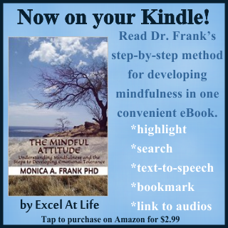 The Mindful Attitude now available on Kindle!