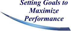 Setting Goals to Maximize Performance